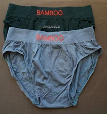 2 Mens underwear Briefs BAMBOO viscose SEAMLESS BRIEFS US M L Waist 32 34 36