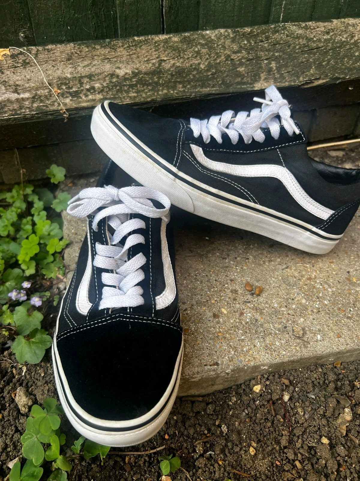 VANS Furgoni taglia 7