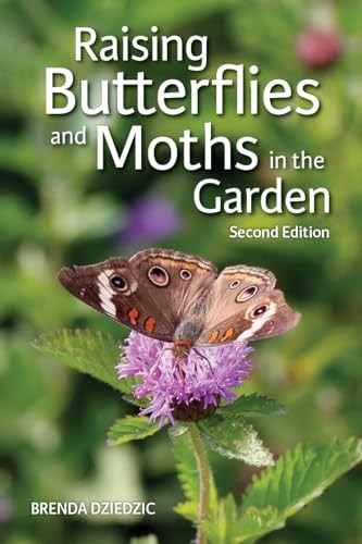 Raising Butterflies & Moths In The Garde - Image 5