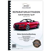 Audi A5 8F (09-16) Diesel Einspritz- VorglüHanlage 163-240 PS Werkstatthandbuch