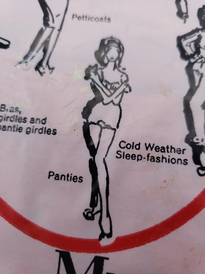 Hollywood Vassarette Munsingwear Ballyhoo Cottontails Talla 6 Bragas Ropa Interior MCM Foto 2 de 4