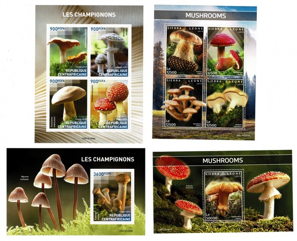 Sellos Setas year 2019 mushrooms stamps " see images " MNH Ref.07