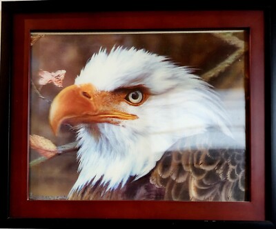 Stunning Eagle 3D Three-Dimensional Picture Wall Art Home Decor Framed 19'' Mint