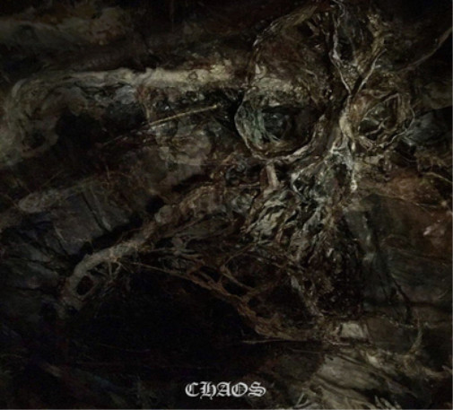 Диджипак альбома Хаос широко распространенной болезни (CD)