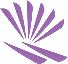 Arrows Vanes 4 Inch Plastic Feather Fletching for DIY Archery Arrows 50 Pack  