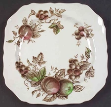 Johnson Brothers Harvest Time Brown Multicolor Square Salad Plate 277823