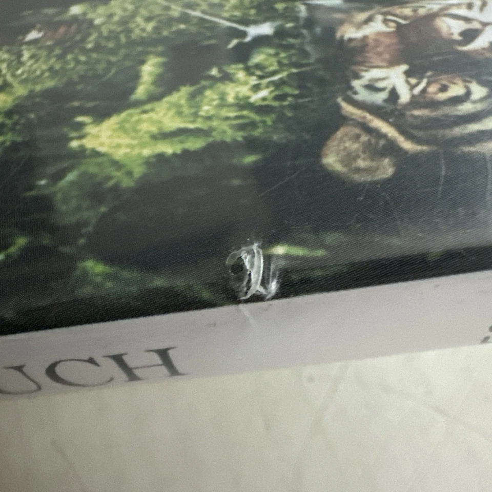 Das Dschungelbuch , digital restaur. Originalversion aus 1942, DVD, sehr gut - Bild 3 von 4