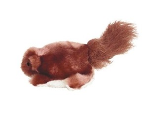 kong beaver