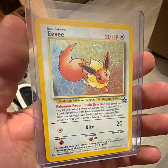 Eevee (WoTC Promo)