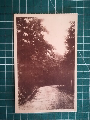 TN087 POSTCARD BE circa 1920 Fort National - road in the Yacouren forest