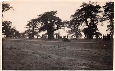 Lot340 real photo leices uk landscape Castle Donington