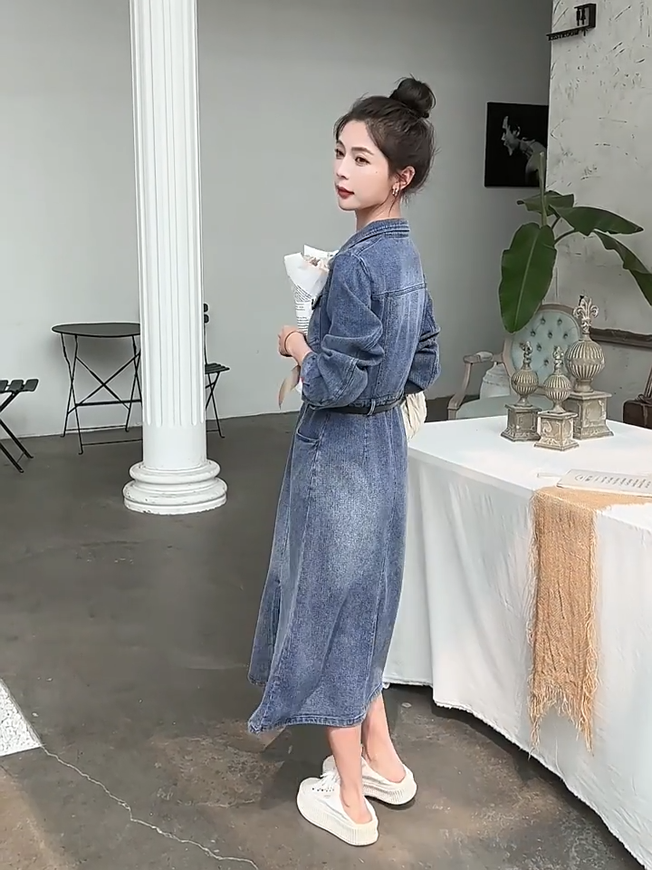 Denim Dresses for Women Small Medium Large Size 4-12 Button Up A