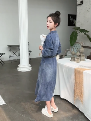 Denim Dresses for Women Small Medium Large Size 4-12 Button Up A-Line Midi  Blue | eBay