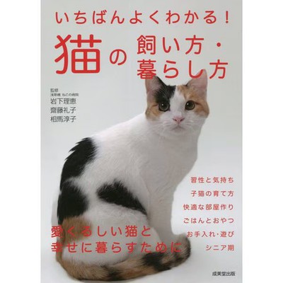 Cat Care Guide Hardcover Excellent Japan Import