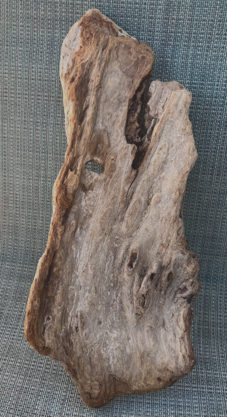 Bild 5 von 5