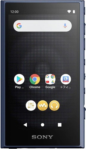 Sony NW-A306 Black Gray Blue 32GB Hi-Res A300 Series Walkman Audio Player - Picture 32 of 32