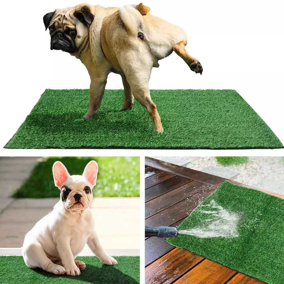 Pee patch on sale