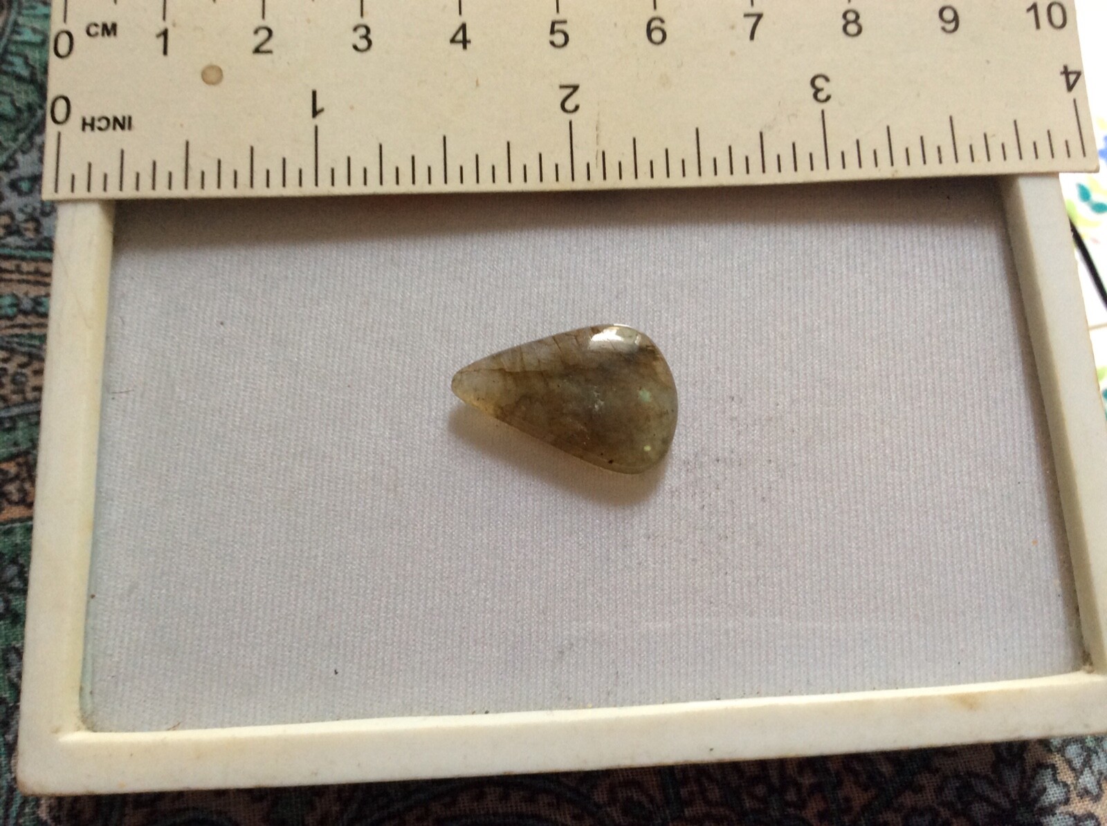 Foto 1 di 2