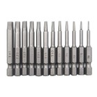 12Pack 1/4" Hex Shank Magnetic Torx Heads Screwdriver Drill Bit Set Tamper Proof