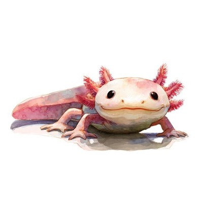6x Sticker Axolotl Car Sticker 9x9cm Cute Kawaii Cute Lurch Pink Set
