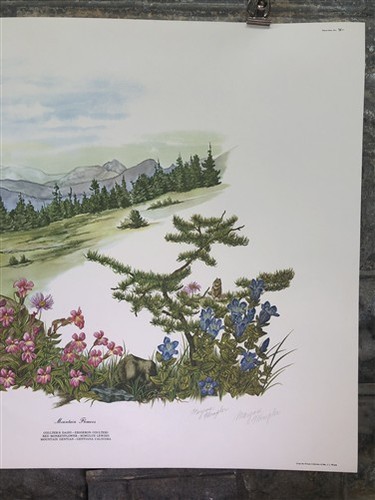 Maryrose Wampler, Mountain Flowers, Signed Print, 28x22 Wall Art, Plate 30 - Picture 4 of 9