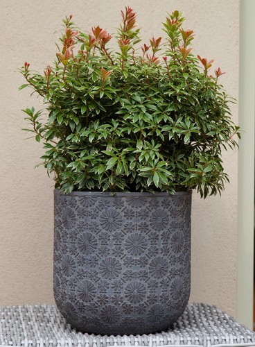 Blumentopf 25 cm gemustert rund - Steinelit verbesserter Faserton *SONDERANGEBOT!* - Bild 3 von 6