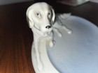 ENGLISH SETTER WELSH SPRINGER SPANIEL GERMANY GOTHA PFEFFER DOG Repaired Tail — photo 3