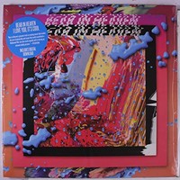 Bear In Heaven - I Love You It's Cool - Vinyl Record 12 Record - G3Z