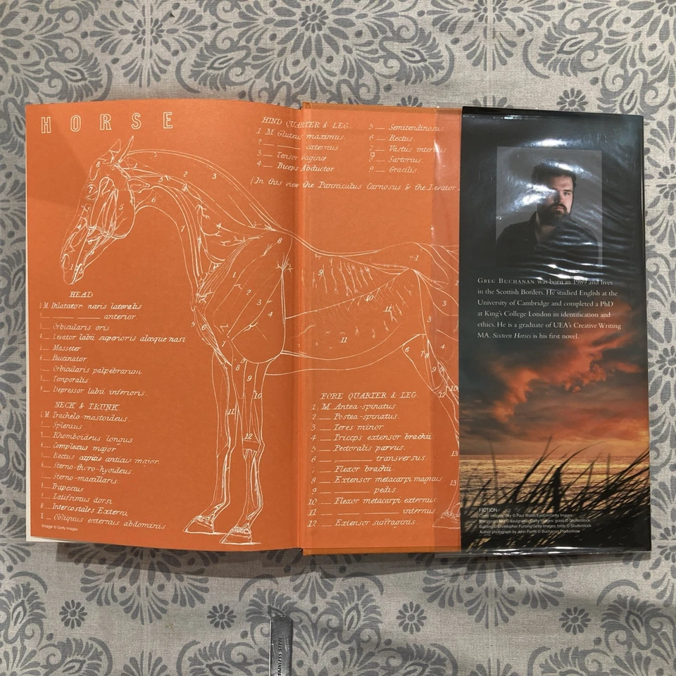 SIGNED: SIXTEEN HORSES by Greg Buchanan. Goldsboro (#1091/1500 1st/1st HB (2021) - Image 4 of 4