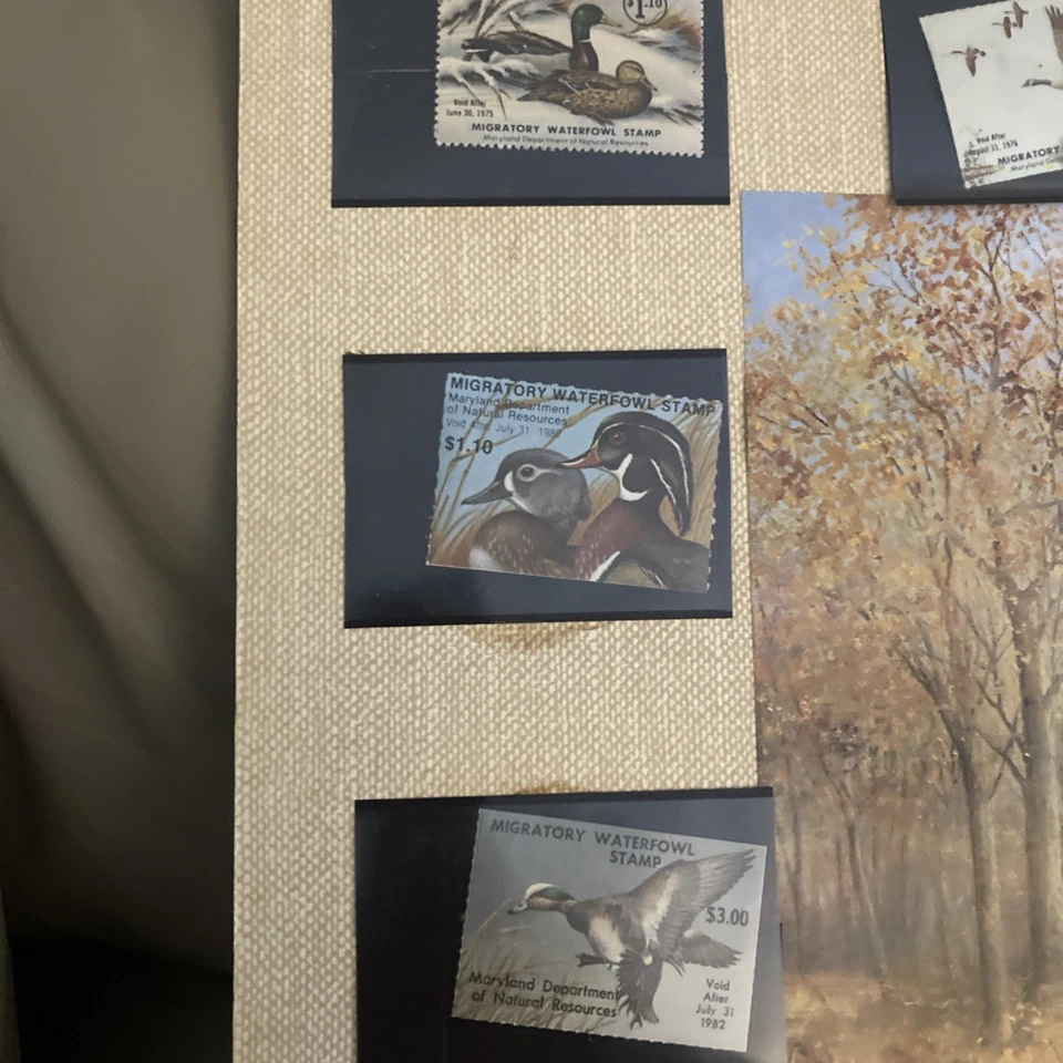 Maryland Migratory Waterflow Stamp Display - Image 3 of 4