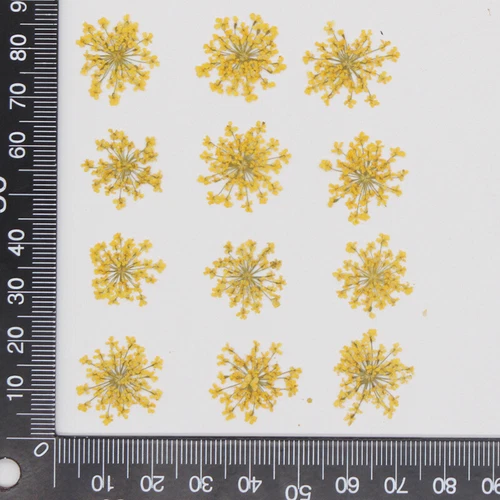 Dried Pressed Flowers Natural Epoxy Resin Candle Nail Art Scrapbooking Craft AU - Picture 143 of 210