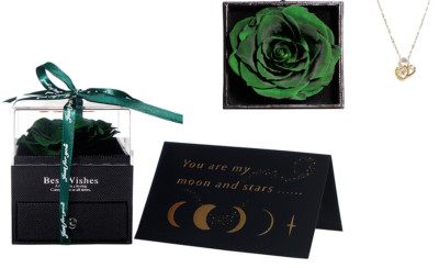 GREEN Preserved Rose In Gift Box With Silver Necklace For Valentine's Day Gift