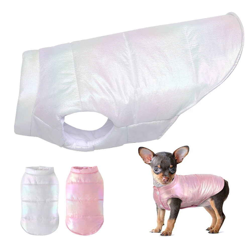 Chihuahua Dog Winter Coat Waterproof Clothes for Small Dogs Girl