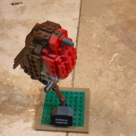 LEGO Ideas Birds 21301 Complete Set No Box