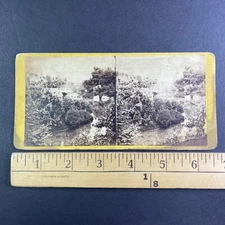 Rustic Bridge Central Park New York City Stereoview Antique c1863 Y15709