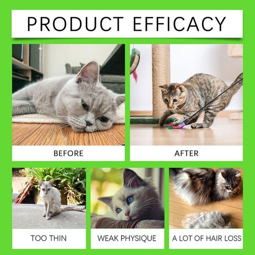 Probiotic drops cats intestinal digestive health constipation relief supple C8M0 - Picture 13 of 24