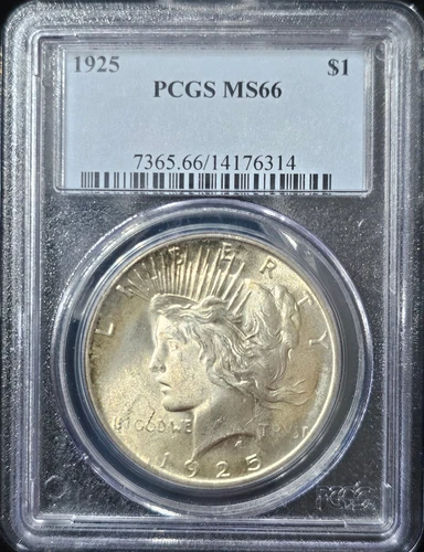 1925 Peace Dollar MS-66 PCGS VIDEO