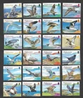 Alderney-Birds complete set (24) 2006-9 mnh