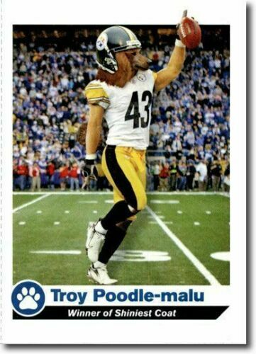 Pittsburgh Steelers WinCraft 11 x 17 Multi-Use Decal Sheet Pittsburgh Steelers WinCraft 11 x 17 Multi-Use Decal Sheet