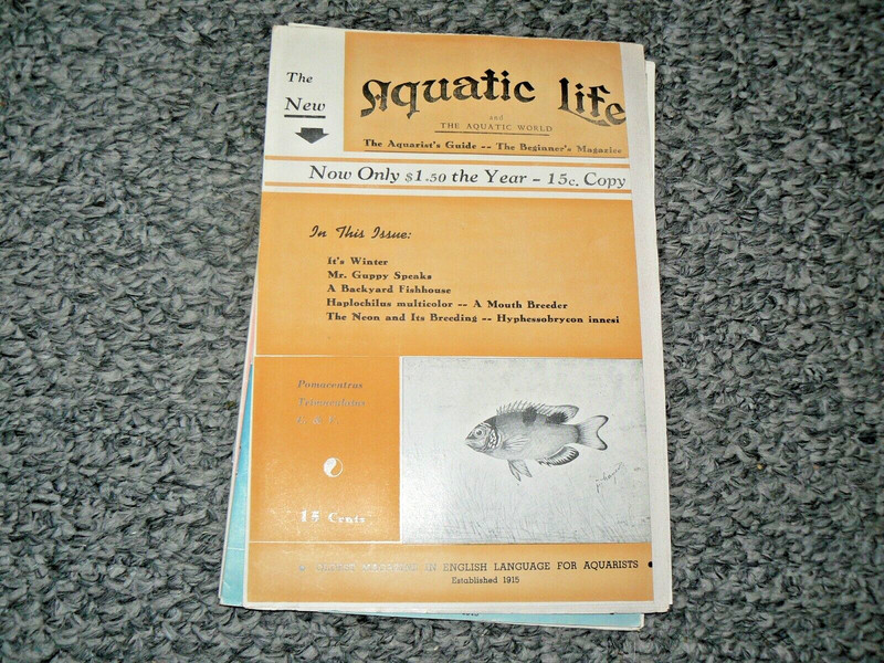 Aquatic Life    Aquarium Magazine December 1953  V 3 N 8 Vintage