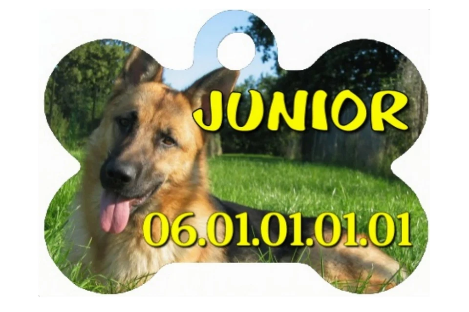 MEDAILLE POUR CHIEN PERSONNALISEE avec nom et n° de téléphone Réf 20 - Photo 1/1