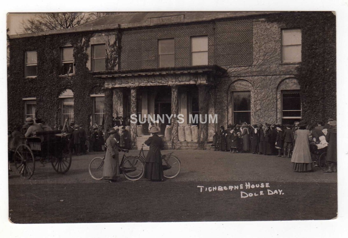 HAMPSHIRE, TICHBORNE HOUSE, DOLE DAY, RP UK - Main Image