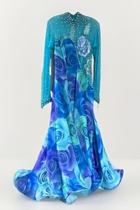 Vtg Ballroom Dancing Dress Lorie Chamblis Beaded Sheer Panel Horsehair Braid Hem