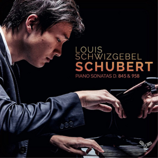 Louis Schwizgebel-Wa Louis Schwizgebel: Schubert - Piano Sonatas D 845 & 9 (CD)
