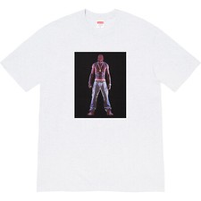 Supreme Tupac Hologram Tee SS20 Ash Grey — listing 6