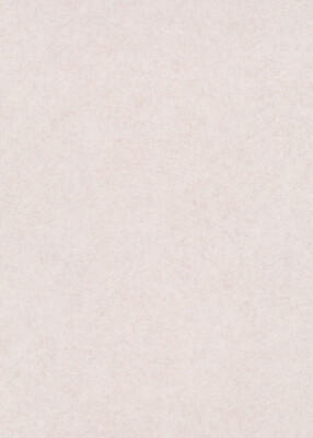 Erismann Vliestapete Gentle 1043414