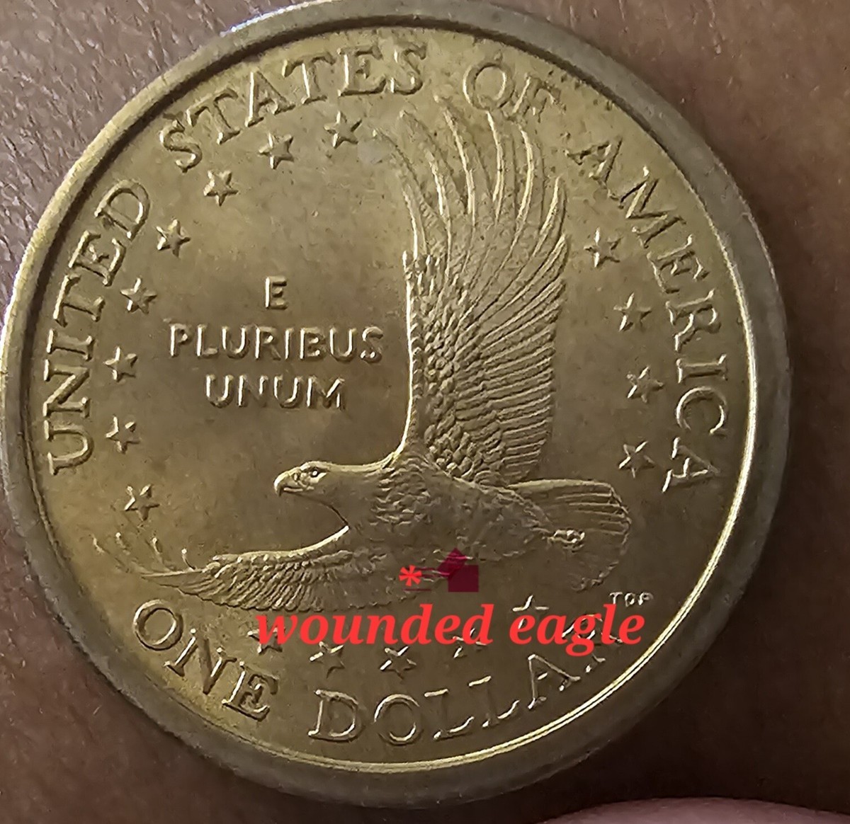 2000-P Sacagawea Error Dollar 