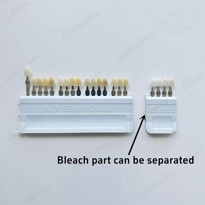 Dental Teeth Shade Guide Porcelain Ivoclar 20Color A-D Tooth 4