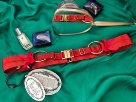 Bordelle Burnt Red Adjustable Belt One Size NWT