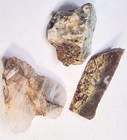 Petrified Wood - Plasma Agate- Mt Maury Moss Agate - Quartz Slab - Cabbing Rough — photo 9